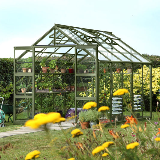 Rhino Classic 8x10 aluminium greenhouse in Tuscan Olive in a mature garden