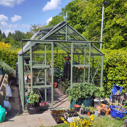 Christine's Rhino Premium 8x10 greenhouse in Tuscan Olive